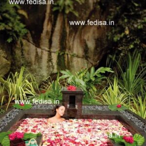 Bathtub Tub Jacuzzi bath Bath Tubs Bathroom Tub Bath Tub Online No 5350